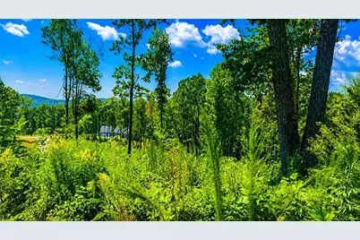1084 Highgrove Drive, Talking Rock, GA 30175 - Photo 11