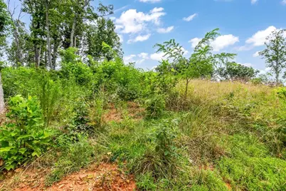 1084 Highgrove Drive, Talking Rock, GA 30175 - Photo 33