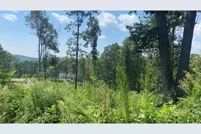 1084 Highgrove Drive, Talking Rock, GA 30175 - Photo 19