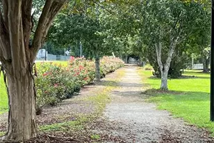 1060 Hill St, Concord, GA 30206 - Photo 89
