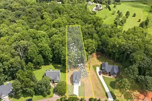 318 Stonington Dr, Mount Airy, GA 30563 - Photo 35
