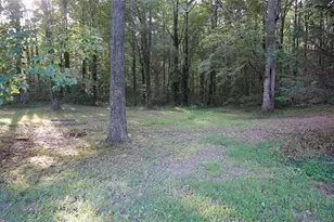 188 Causey Rd, Bremen, GA 30110 - Photo 37