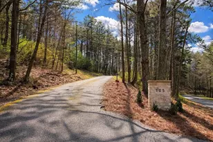 105 Riveredge Dr, Ellijay, GA 30536 - Photo 55