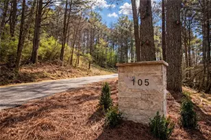 105 Riveredge Dr, Ellijay, GA 30536 - Photo 73
