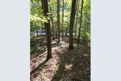 Lot 6 Heatherwood Way, Talking Rock, GA 30175 - Photo 3