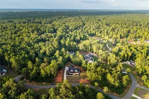 61 Peninsula Dr, Monticello, GA 31064 - Photo 85
