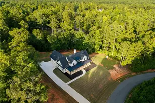 61 Peninsula Dr, Monticello, GA 31064 - Photo 87