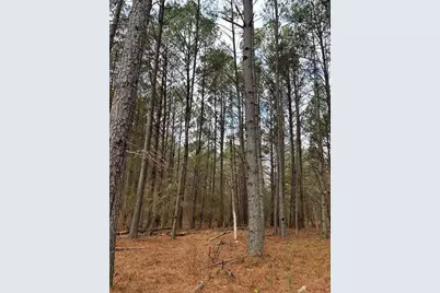 556 Benton Road, Covington, GA 30014 - Photo 1