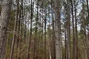 556 Benton Rd, Covington, GA 30014 - Photo 1