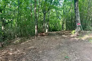 839 Wooten Rd, Cleveland, GA 30528 - Photo 3