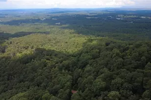00 Firetower Rd, Jasper, GA 30143 - Photo 1
