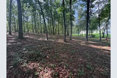 8149 Kelly Bridge Road, Dawsonville, GA 30534 - Photo 61