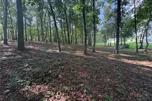 8149 Kelly Bridge Rd, Dawsonville, GA 30534 - Photo 61