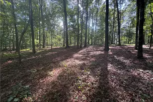 8149 Kelly Bridge Rd, Dawsonville, GA 30534 - Photo 59