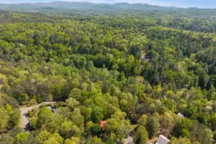80 Stegall Mill Ridge, Ellijay, GA 30536 - Photo 47