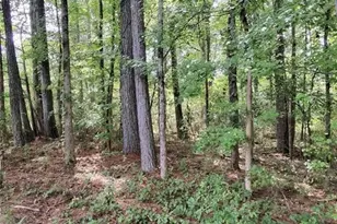 0 Post Rd, Winston, GA 30187 - Photo 1