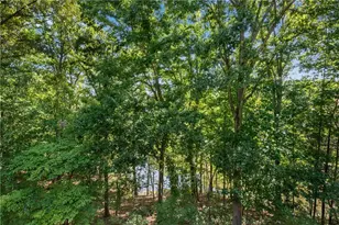 1300 Soap Creek Rd, Ball Ground, GA 30107 - Photo 49