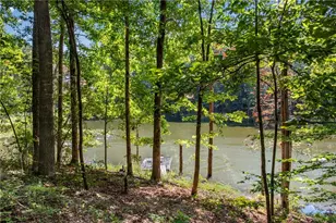 1300 Soap Creek Rd, Ball Ground, GA 30107 - Photo 59