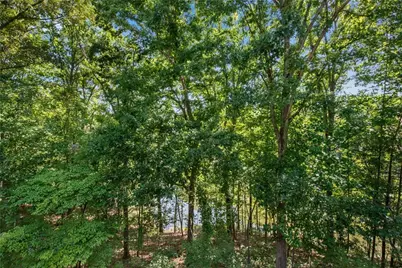 [Address not provided], Ball Ground, GA 30107 - Photo 55
