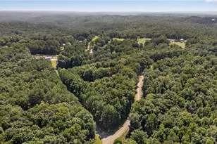 1300 Soap Creek Rd, Ball Ground, GA 30107 - Photo 61