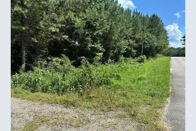305 Wildcat Road, Buchanan, GA 30113 - Photo 5