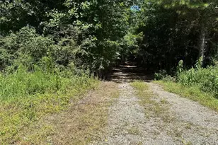 305 Wildcat Rd, Buchanan, GA 30113 - Photo 1