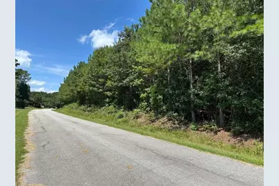 305 Wildcat Road, Buchanan, GA 30113 - Photo 3