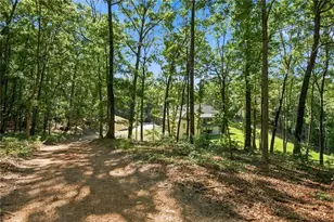 221 Brookhollow Rd, Ball Ground, GA 30107 - Photo 93