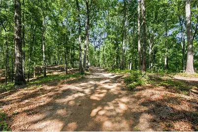 221 Brookhollow Road, Ball Ground, GA 30107 - Photo 89