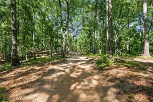 221 Brookhollow Rd, Ball Ground, GA 30107 - Photo 89