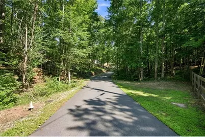 221 Brookhollow Road, Ball Ground, GA 30107 - Photo 95