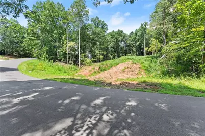 8690 Bayhill Drive, Gainesville, GA 30506 - Photo 5