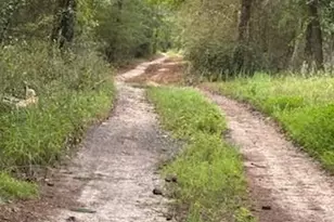 184 McBride Rd, Fayetteville, GA 30215 - Photo 3