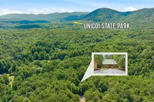 80 Windchase Ln, Sautee Nacoochee, GA 30571 - Photo 47