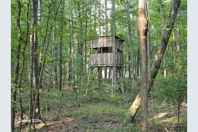 1371 Bairdstown Road, Union Point, GA 30669 - Photo 37