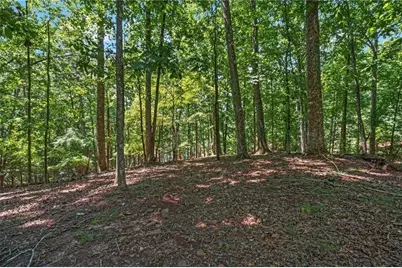 7488 Shadburn Ferry Road, Cumming, GA 30041 - Photo 83