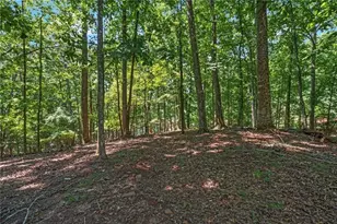 7488 Shadburn Ferry Rd, Cumming, GA 30041 - Photo 83