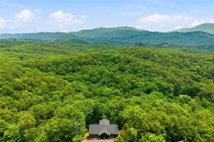 254 Leatherwood Mountain Road, Ellijay, GA 30540 - Photo 71