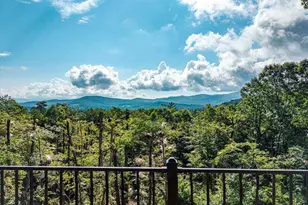 156 Sky High Dr, Ellijay, GA 30536 - Photo 63