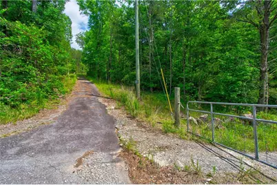 6439 S Chestatee Street, Dahlonega, GA 30533 - Photo 5