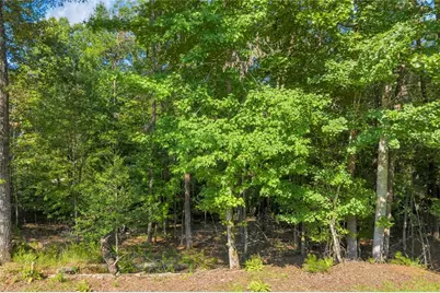 0 Calhoun Road, Dahlonega, GA 30533 - Photo 7