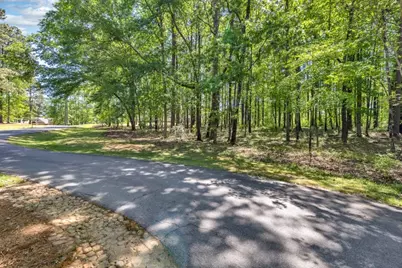 1010 Troon Court, Greensboro, GA 30642 - Photo 9