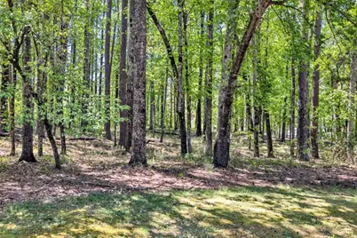 1010 Troon Court, Greensboro, GA 30642 - Photo 11