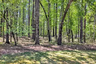 1010 Troon Ct, Greensboro, GA 30642 - Photo 11