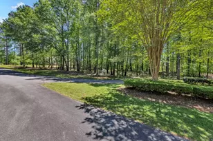1010 Troon Ct, Greensboro, GA 30642 - Photo 35