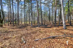 1841 Osprey Poynte, Greensboro, GA 30642 - Photo 15