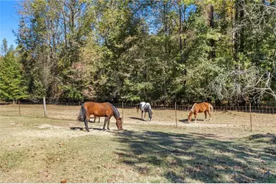 7790 Atlanta Newnan Road, Chattahoochee Hills, GA 30268 - Photo 7