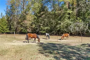 7790 Atlanta Newnan Rd, Chattahoochee Hills, GA 30268 - Photo 7