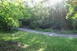 953 Nugget Ln, Ellijay, GA 30540 - Photo 5