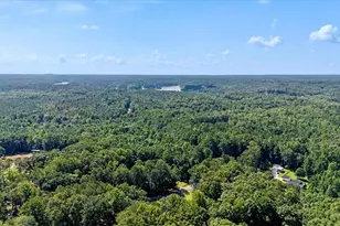 32 Watkins Rd, Newnan, GA 30263 - Photo 49